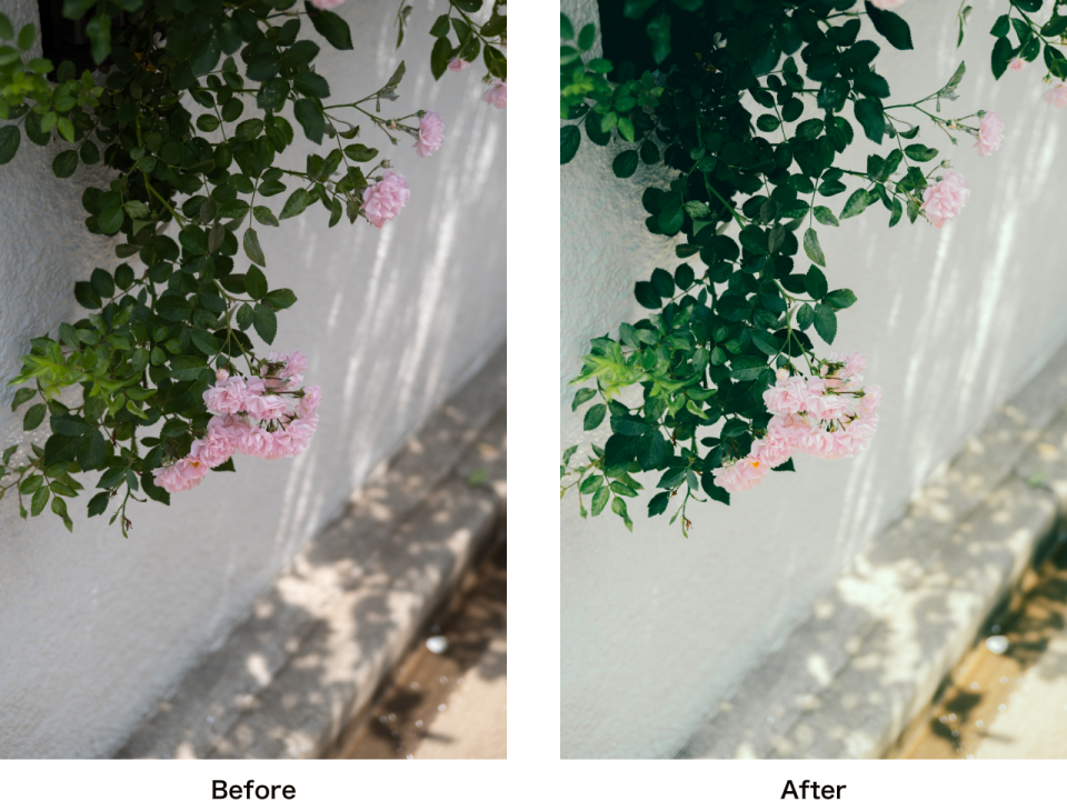 Kimura Hinami写真集「In Light, I Live」
