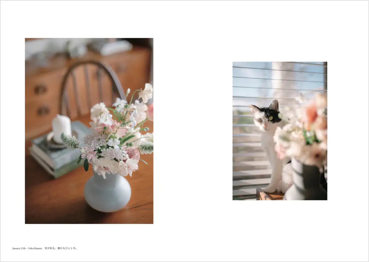 フォトグラファー 鎌田風花と小春ハルカ 写真集「Diaries(ダイアリーズ)」