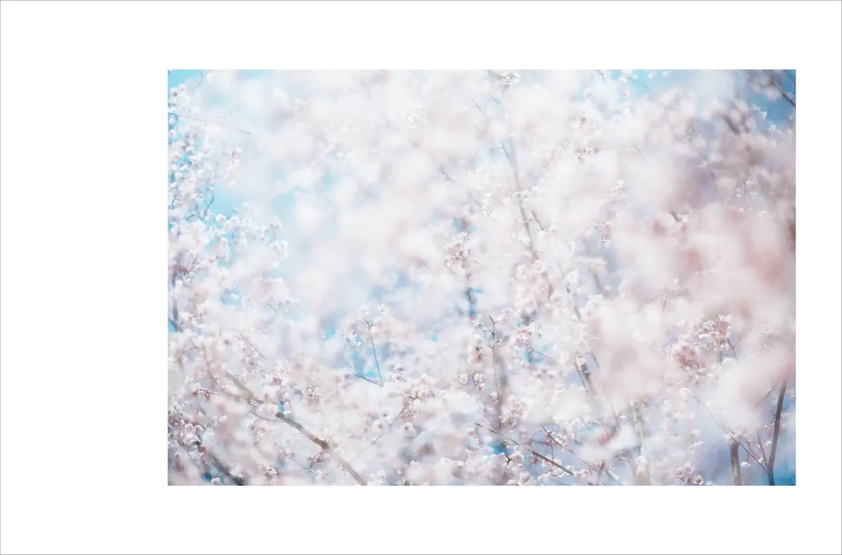 岩倉しおり 「crescent」