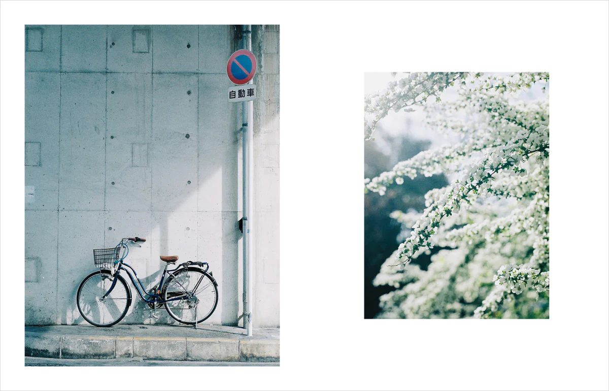 Kimura Hinami写真集「In Light, I Live」