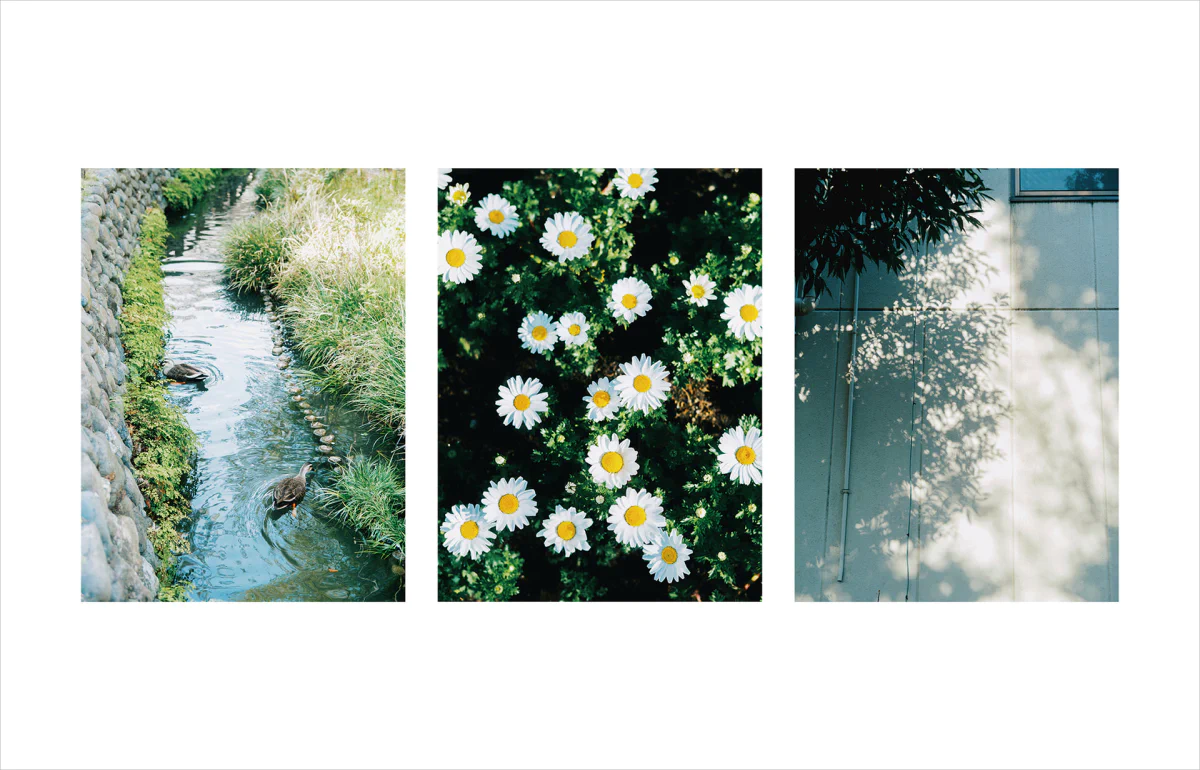 Kimura Hinami写真集「In Light, I Live」