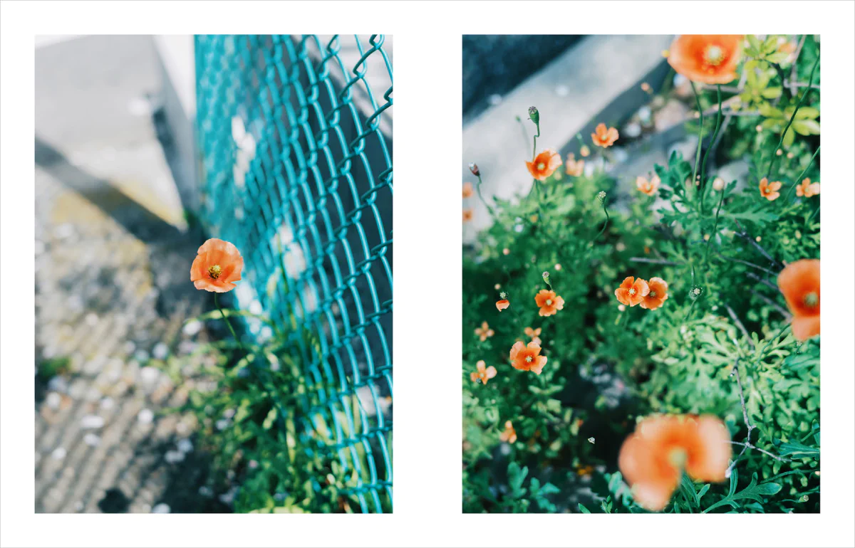 Kimura Hinami写真集「In Light, I Live」