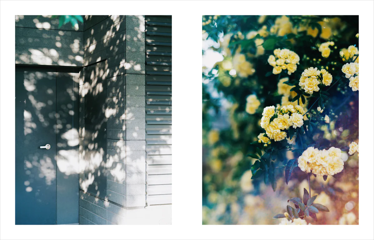 Kimura Hinami写真集「In Light, I Live」