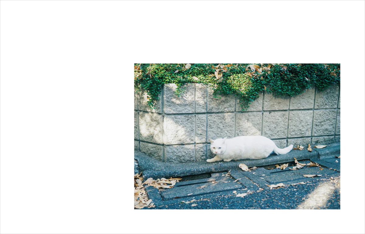 Kimura Hinami写真集「In Light, I Live」