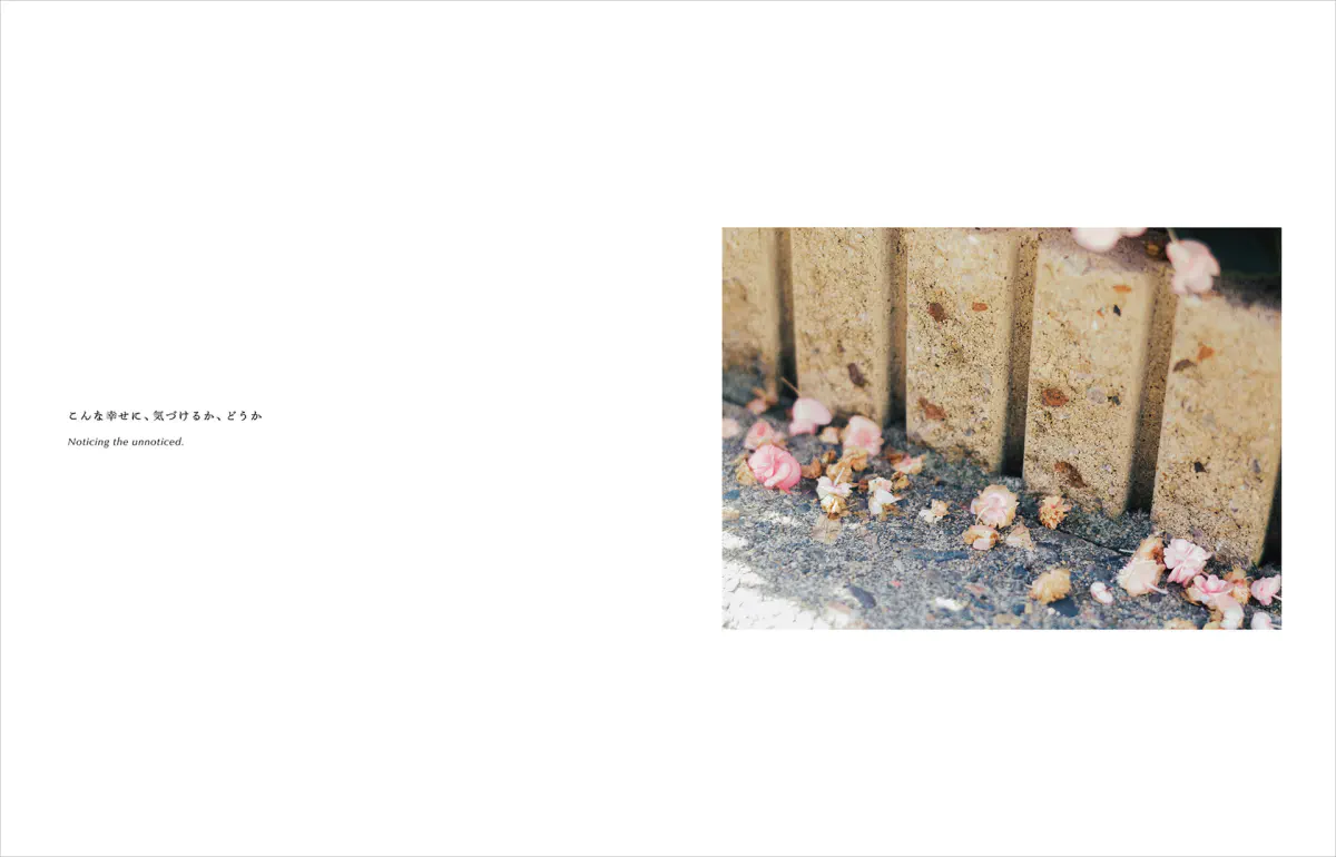 Kimura Hinami写真集「In Light, I Live」