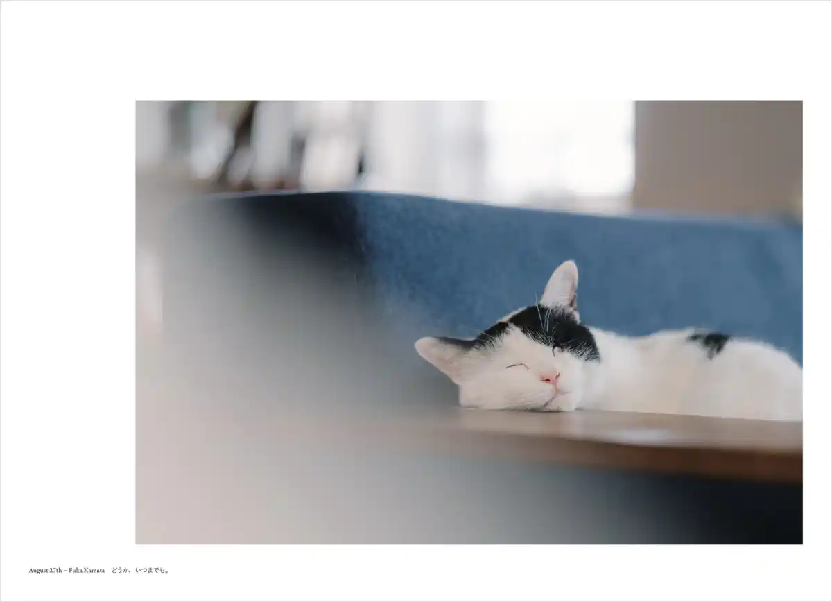 フォトグラファー 鎌田風花と小春ハルカ 写真集「Diaries(ダイアリーズ)」