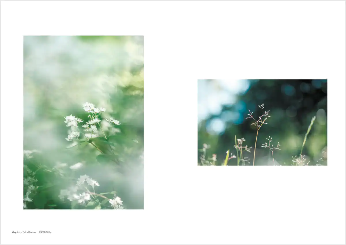 フォトグラファー 鎌田風花と小春ハルカ 写真集「Diaries(ダイアリーズ)」