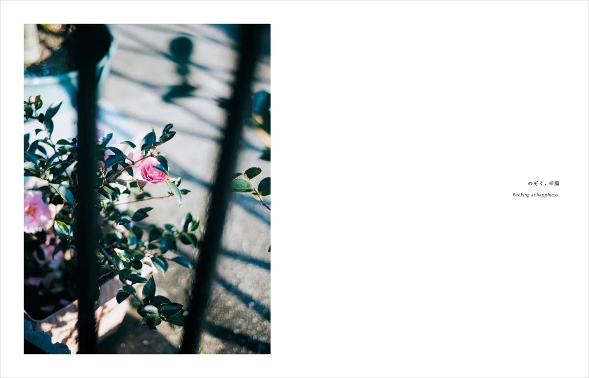 Kimura Hinami写真集「In Light, I Live」
