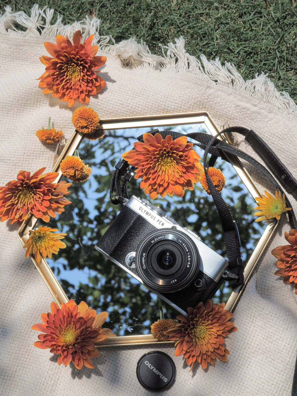 OLYMPUS PEN E-P7をPEN loverの3人がレビュー | GENIC | ミツバチ