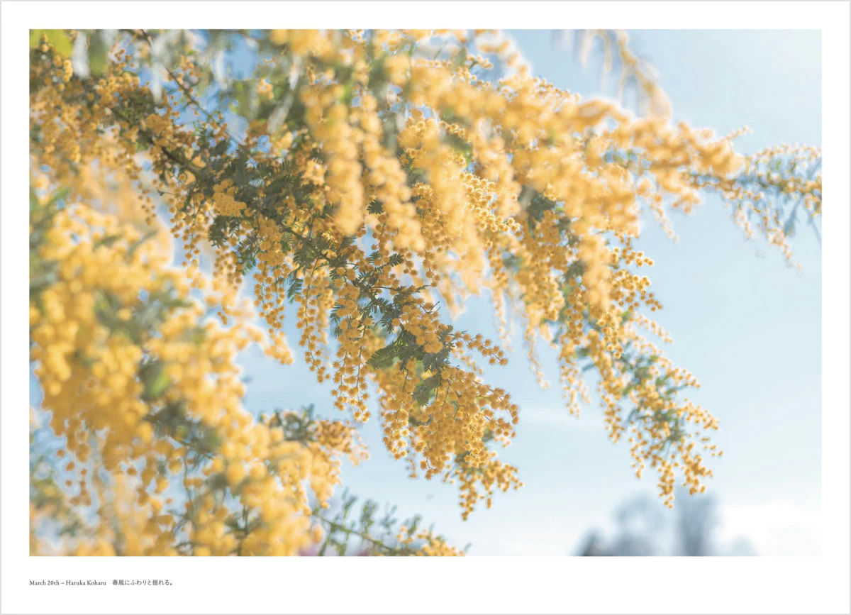 フォトグラファー 鎌田風花と小春ハルカ 写真集「Diaries(ダイアリーズ)」