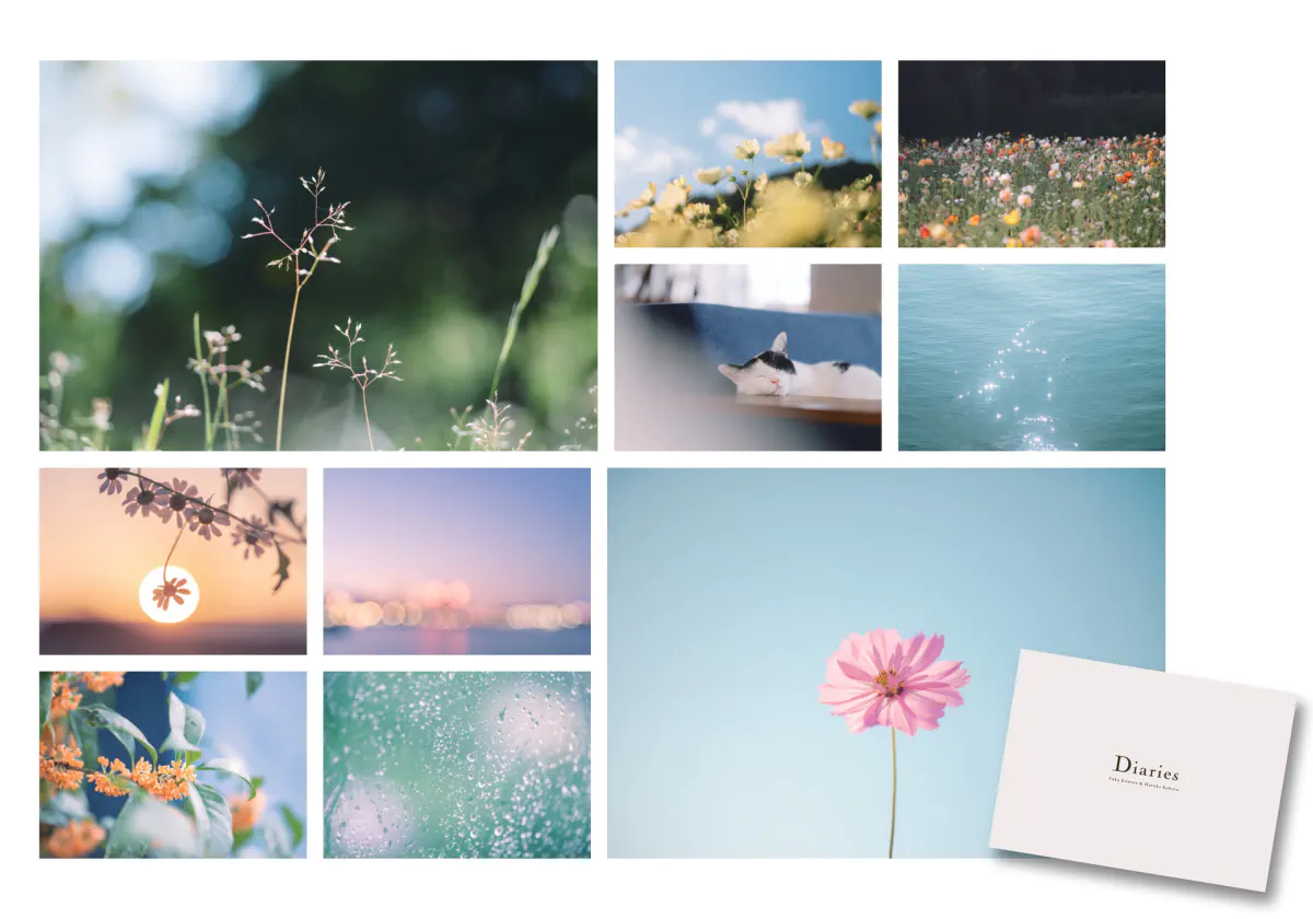 フォトグラファー 鎌田風花と小春ハルカ 写真集「Diaries(ダイアリーズ)」