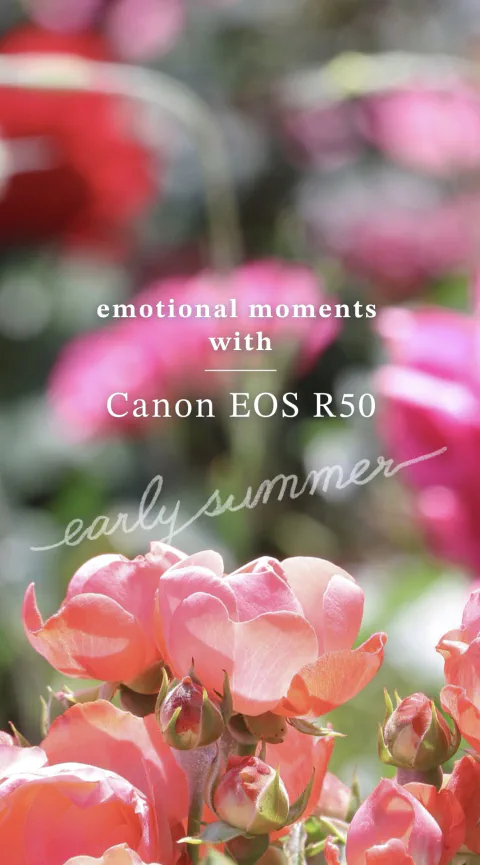 Canon EOS R50