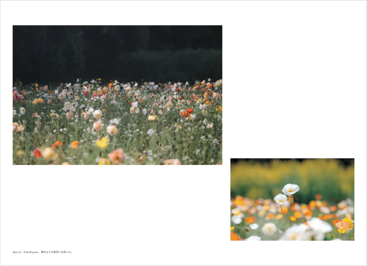 フォトグラファー 鎌田風花と小春ハルカ 写真集「Diaries(ダイアリーズ)」